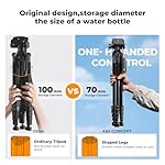 K&F CONCEPT Camera Tripod, 75" Lightweight Portable Travel Outdoor DSLR Tripods for Camera Phone Video Recording Tripod Stand, Cellphone Clip for Smartphone Live Streaming Vlog, Black - Image 2