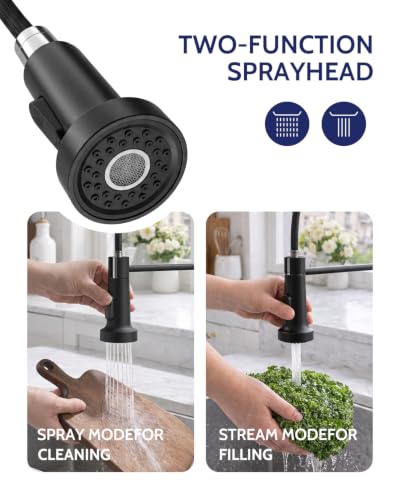 Image of LUFEIDRA Pull-Down Kitchen Faucet with Soap Dispenser, Matte Black