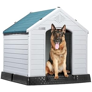 Comfortable Dog House