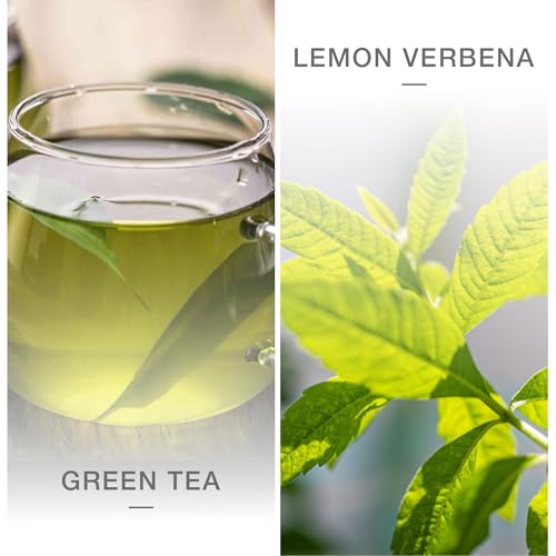 Recambio de difusor de varillas de té verde para crear un spa en el salón 3