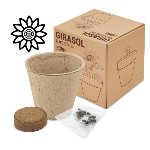 DISOK - Lote 15 a 60 Macetas Biodegradables con Semillas. Detalles ecológicos para bodas, regalos biodegradables boda, bautizos y comuniones. (30)