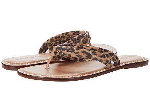 Image of Bernardo Miami Sandal