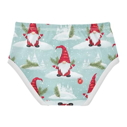 Toddler Underwear Floral 2t Cotton Panties Little Girl Fun Print Briefs Undies Kids Red Hats St2