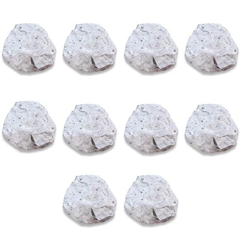 Image of Andesite Rock Specimens (10 Pieces) - Metamorphic Rocks for Science Classrooms - Geologist Selected & Hand Processed - Class Pack, Education Collection
