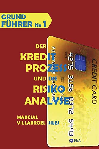 GRUNDFÜHRER Der Kreditprozess und die Risikoanalyse (Analyse des Risikos im Kredit) (German Edition)