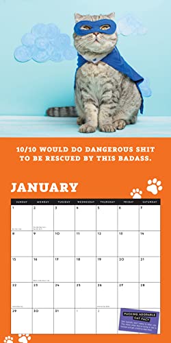 2023 Too F*Cking Cute Cats Wall Calendar: A Year Of D*Mn Adorable Kitties (Funny Monthly Calendar & White Elephant Gag Gift For Cat Lovers) (Calendars & Gifts To Swear By) #TOP2