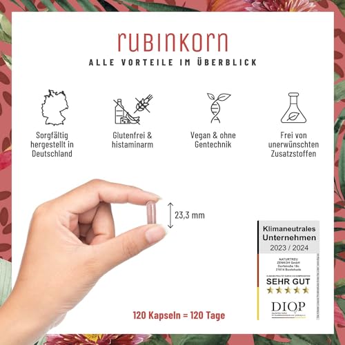 NATURTREU® Rubinkorn - Roter Reis Komplex abgerundet mit schwarzem Knoblauch Extrakt - 2,9 mg Monacolin K pro Tagesdosis - mit Cholin für normale Leberfunktion - Fermentierter Roter Reis - 120 Kapseln
