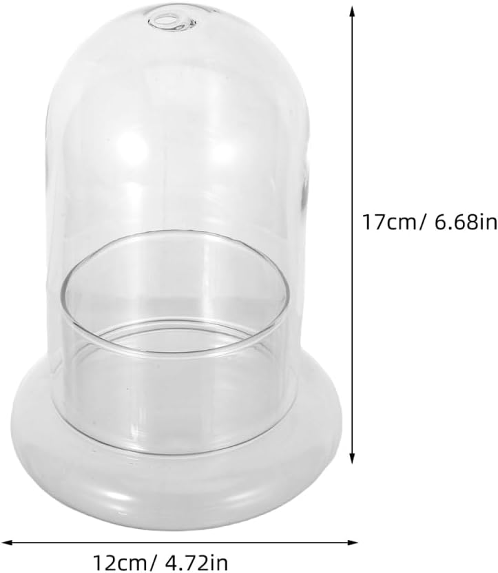 DOITOOL Micro Landscape Ecological Bottle Terrarium Jar 2 Pack High Borosilicate Glass Planter for Home Office Desk Decor 6.69X4.72X4.72In