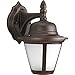 Progress Lighting Westport LED Collection 1-Light Etched Seeded Glass Traditional Outdoor Small Wall Lantern Light Antique Bronze