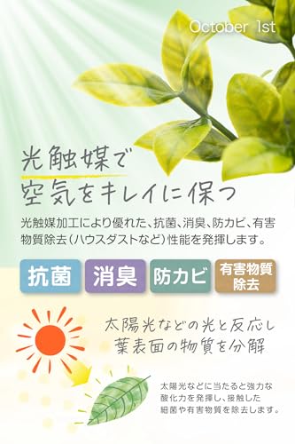 October 1st フェイクグリーン観葉植物3点セット