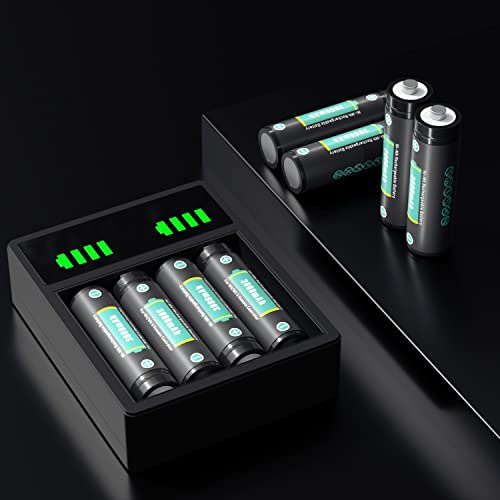 Tectra Rechargeable Aa Battery With Battery Cases For Wii Remote Controller, 4Pcs 3000Mah Aa Ni-Mh Battery + Led Charger For Wii/Wii U Game Remote Controller #TOP5