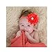 12PCS Baby Headbands Flower Hairbands 3.5Inch Hair Bows with Rhinestones Hair Accessories for Baby Girls Toddlers Infant Newborns