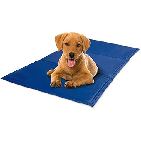 Lauva Record Stay Fresh 1355 Cooling Mat M Blue Cover