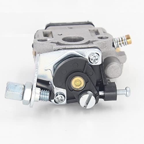 BEIYIPARTS Carburetor for Echo HCA260 HCA-261 PAS-260 PAS-261 PE-260 PE-261 PB260 SHC260 SRM260 SRM261 SRM260S A021000460