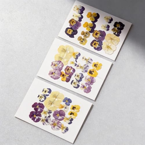 48 Pcs Dried Edible Flowers for Cake Decorating-Natural Pressed Flowers for Resin Jewelry Making, DIY Crafts, and Baking Decorations; Real Dry Flower Embellishments for Creative Projects