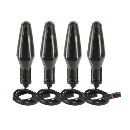 Clignotant LED R1250GS Étanche Haute Luminosité