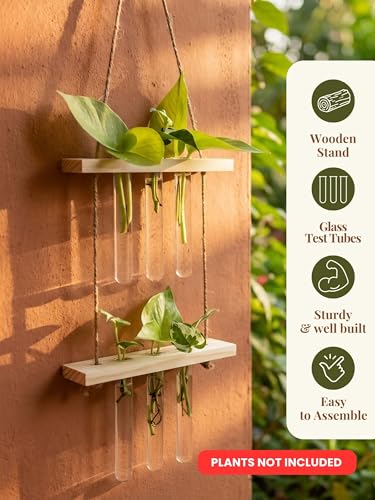 Image of 2 Tier Hanging Planter with Wooden Holder & Rope | 6 Test Tube Hanging Plant Indoor Stand | Wooden Planter for Home Decor, Living Room, Balcony & Office Decoration