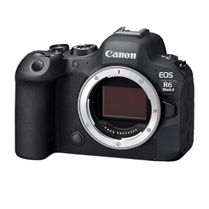 Canon EOS R6 Mark II Mirrorless Camera (Body Only) — photo 2 of 6