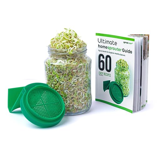 Image of sprout-me Multi Use Sprouts Maker Box With Recipe Book - Glass Mason Jar with Mesh Lid for All Seeds & Beans, Sprouts Making Box with Built in Drainage Stand (One Sprout Jar With Book - (Green))