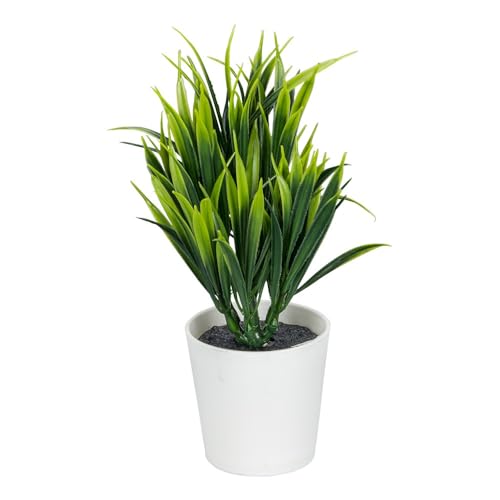 Ideen mit Herz Deko-Ziergras im Topf | Kunststoff | Rohling zum Weiterverzieren | weiß | 19 cm hoch Ideen mit Herz Deko-Ziergras im Topf | Kunststoff | Rohling zum Weiterverzieren | weiß | 19 cm hoch