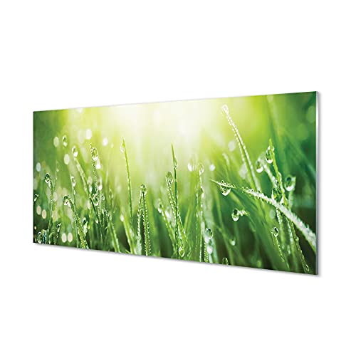 Impression sur verre 120 x 60 cm Tulup | Décoration murale gouttes d'eau salon