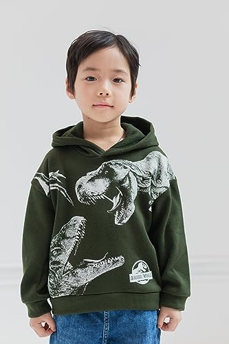Jurassic World Dinosaur T-Rex Fleece Pullover Hoodie Toddler to Big Kid4