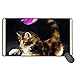 Produktbild Gaming Moursepad Kleine schöne Maine Coon Katze spielt Mausmatte, mittelgroße rutschfeste Gummibasis