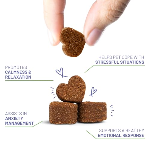 Brave Paws Calming Chews For Dogs Anxiety thumb #4