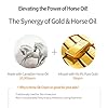 CHARMZONE-Mayu-Horse-Oil-Gold-Facial-Cream--Korean-Skincare-with-Horse-Oil-Extract-Golden-Seal-for-Intense-Moisturizing-Nourishing-Skin-Vitality--All-Skin-Types-237-fl-Oz-70-ml