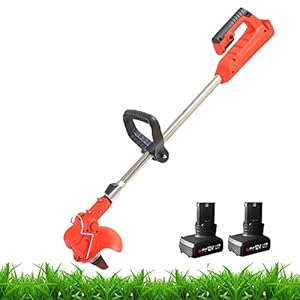 QOR Onkruidsteker met accu, 3-in-1 accutrimmer, lichte en krachtige grastrimmer met 2 accu’s en 3 messen (maat: 12V)