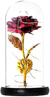 Beauty and The Beast Rose Kit Enchanted Silk Rose Flower with LED Glass Dome for Valentine's Day, Mother's Day, Christmas, Anniversary, Home Decoration Gift Red