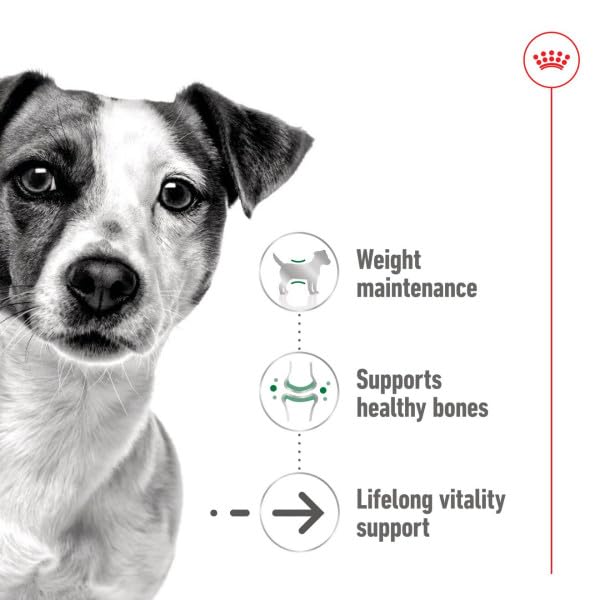 Royal Canin Mini Adult Ageing 12+ | 12 x 195 g | Alimento umido per cani anziani di piccola taglia (da 1 a 10 kg) | A partire da 12 anni di età | Contenuto energetico adattato