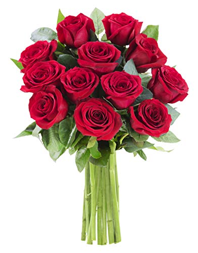 KaBloom PRIME NEXT DAY DELIVERY- Fall Collection-The Romantic Bouquet of 12 Fresh Red Roses.Gift for Birthday, Anniversary, Get Well, Thank You, Valentine, Mother’s Day Fresh Flowers