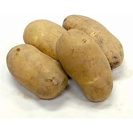 Amazon Co Jp ジャガイモ メークインの種芋 1kg Diy 工具 ガーデン