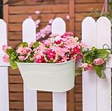 LATERN B0D2HVT2YB lato 4