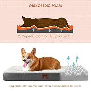 EHEYCIGA Orthopedic Dog Beds for Large Dogs with Removable Washable Cover for Crate, Beige, 35x23 EHEYCIGA Orthopedic Dog Beds for Large Dogs with Removable Washable Cover for Crate, Beige, 35×23