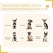 HOMCOM PawHut Parque Mascotas 8 Vallas 80x60cm Jaula Valla Corral con Puerta...