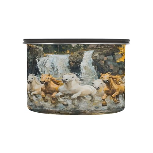 Contenedor hermético acero inoxidable para café 17oz