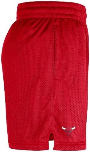 Nike Men's Chicago Bulls Shorts