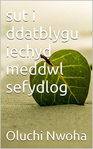 sut i ddatblygu iechyd meddwl sefydlog (Welsh Edition)