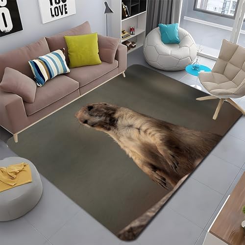 カーペット マーモット ラグ 滑り止 ラグマッ ブラウン 絨毯 60x90 ラグパッド め付 敷き詰めカーペット マイクロファイバー 防音 フローリング用カーペット オールシーズン 床暖房対応 - PM1076