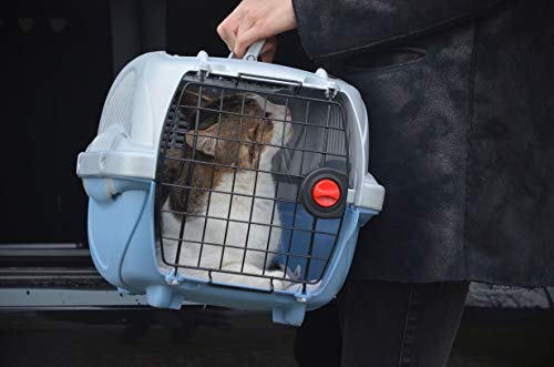 Ferplast Atlas Deluxe 10, Caixa de Transporte para Animais Pequenos, com Acessórios Ferplast para Cã