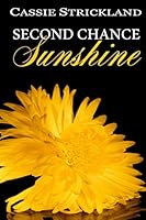Second Chance Sunshine, Armstrong Securities Book Two 1511547219 Book Cover