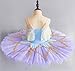 OTMYIGO Girls Ballet Tutu Dress Women Princess Platter Pancake Swan Lake Ballerina Stage Dance Competition Costume,Purple,130