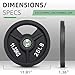 Fitvids Olympic Cast Iron 2-Inch Weight Plate for Strength Training & Weightlifting, Multiple Weights Available, 25LB (Pair)