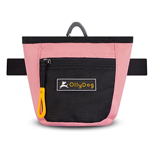 Top 10 Dog Training Treat Bag of 2022 Katynel