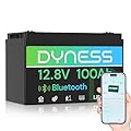 Dyness 12V 100Ah Bluetooth LiFePO4 Battery, Deep Cycle Group 31 Lithium RV Batteries Built-in 100A BMS with Low-Temp Protection, 12.8 Volt Lithium Battery for Rv Camping, Home Solar System, Off-Grid