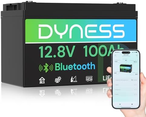 Dyness 12V 100Ah Bluetooth LiFePO4 Battery, Deep Cycle Group 31 L...