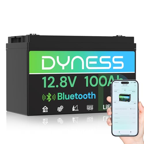 Dyness 12V 100Ah Bluetooth LiFePO4 Battery, Deep Cycle Group 31 Lithium RV Batteries Built-in 100A BMS with Low-Temp Protection, 12.8 Volt Lithium Battery for Rv Camping, Home Solar System, Off-Grid