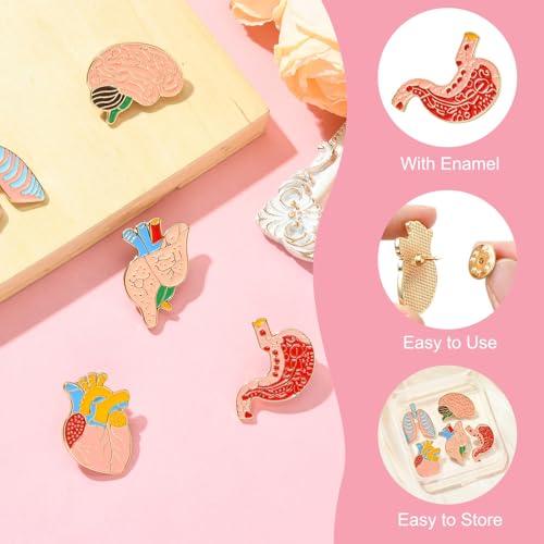 Image of Airssory 5 pcs 5 Styles Body Organ Theme Alloy Enamel Brooches Brain Lung Stomach Heart Lapel Pins for DIY Clothes Backpack Badge Jackets Craft Embellishments